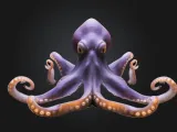 Octopus-2