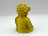 Buddha VR-1