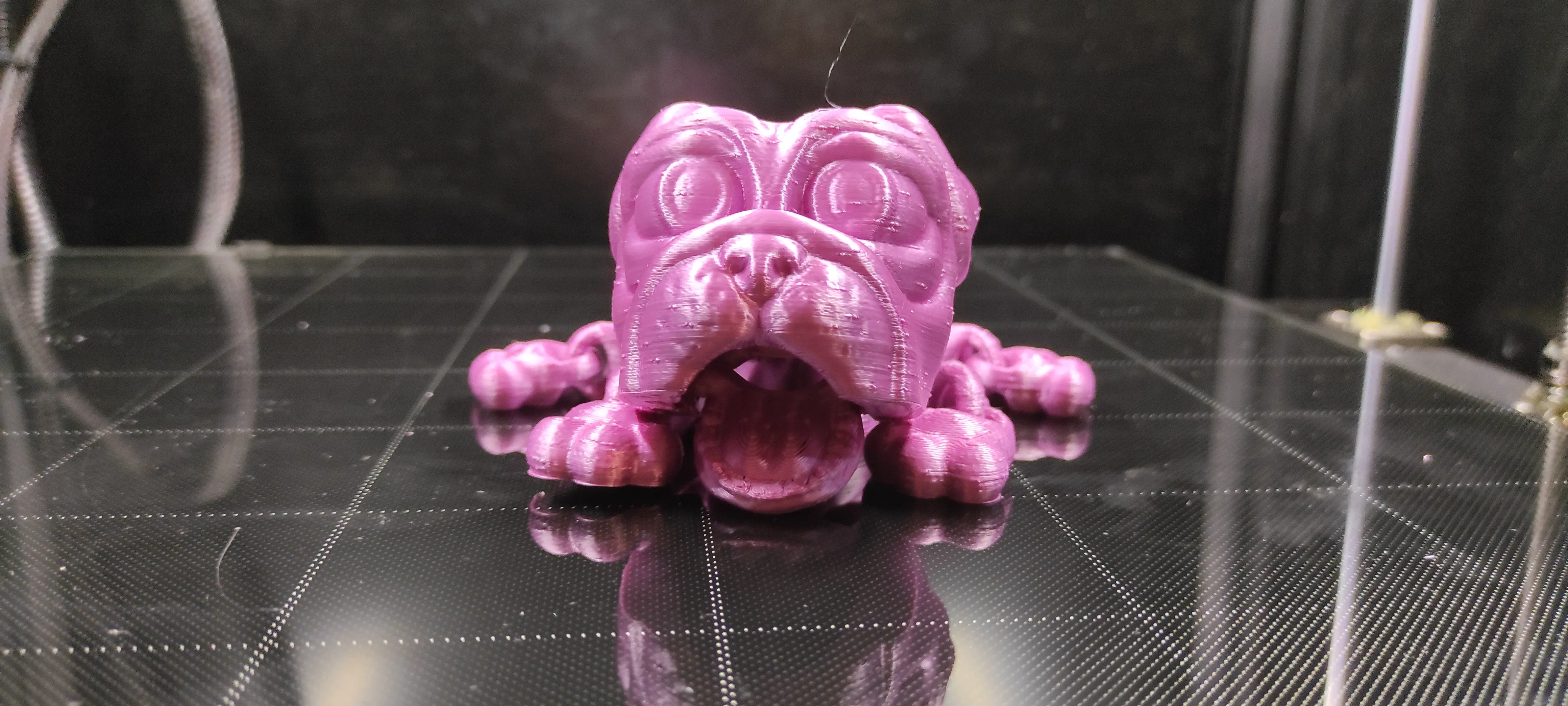 CUTE FLEXI PRINT-IN-PLACE DOG