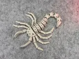 Scorpione Scheletro Flessibile-7