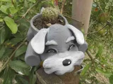 SCHNAUZER POT-6