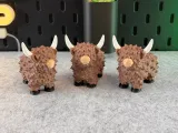 Highland Cow-2
