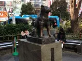 Hachiko-4