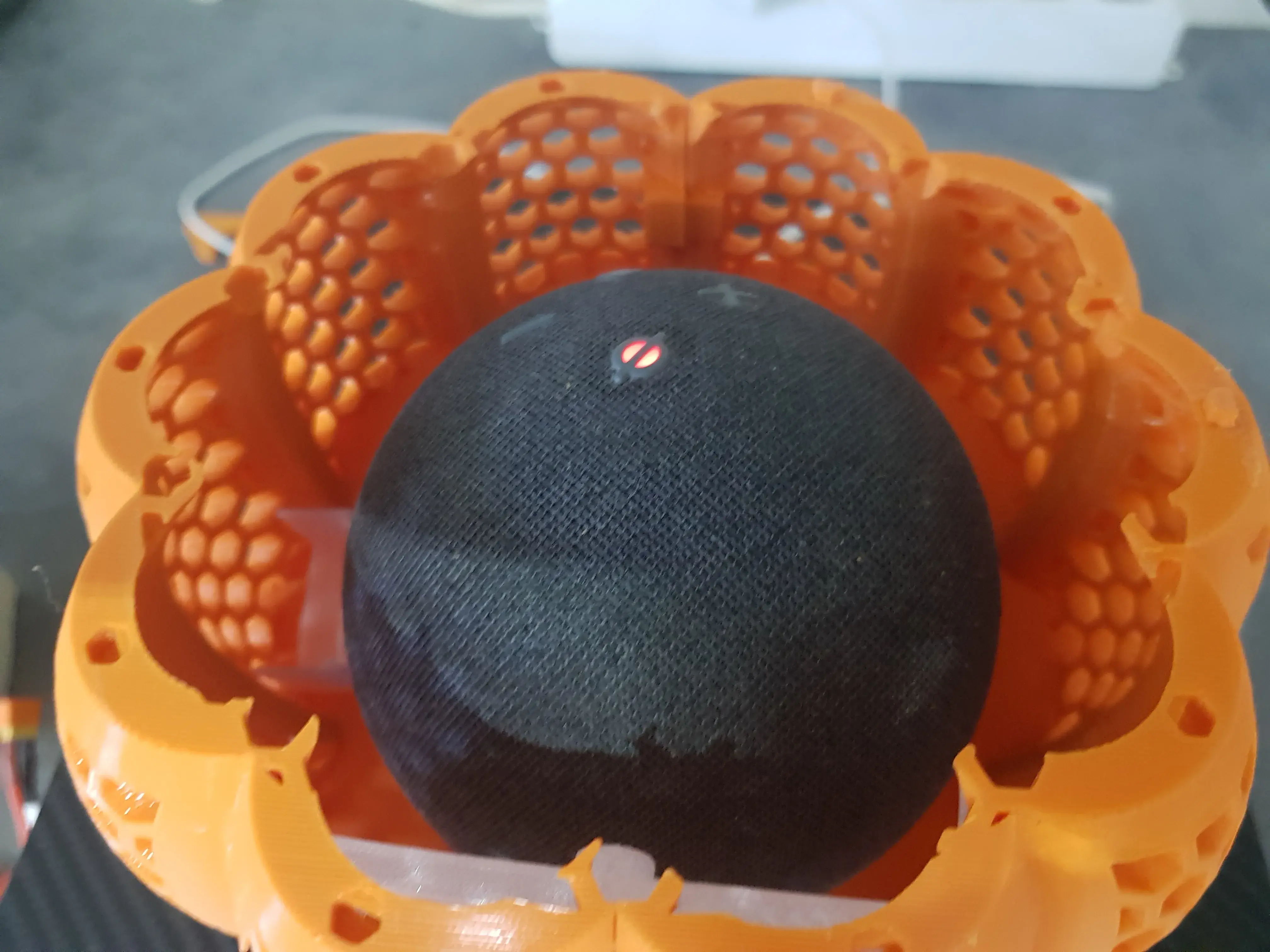 🎃EchoPumpkin🎃