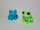 Cute Green Tree Frog!-5