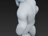 Yeti-2