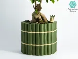 Self-Watering Plant Pot With Bamboo Buddy! Planter STL & 3MF-7