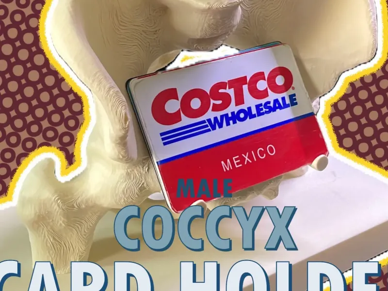 Portabiglietti Coccige Maschile