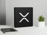 Lightbox Multi-Purpose Decorative – Wall & Desktop Use-1