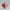 Locked Hearts of Destiny – Noah0x03