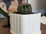 cactus shears-4