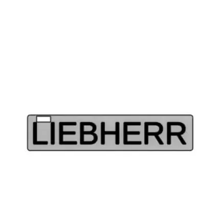 LIEBHERR Key Chain