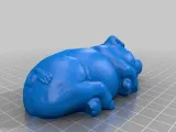 Sleeping Pig-1