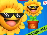 Sunflower-0