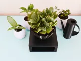 Geometric Cone Planter-4