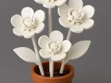 White flowers-1
