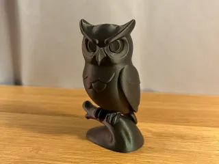 Spooky Owl