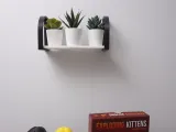 Plant shelf-2