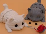 Гибкие котики-0