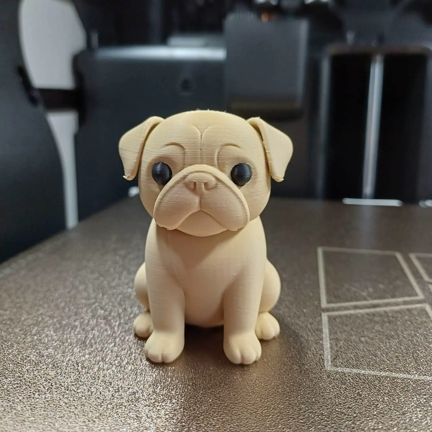 Cute Pug Puppy