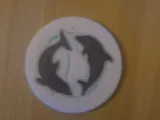 Dolphin Coaster-2