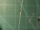 Fast Knot Tyer&Loop Tier-4