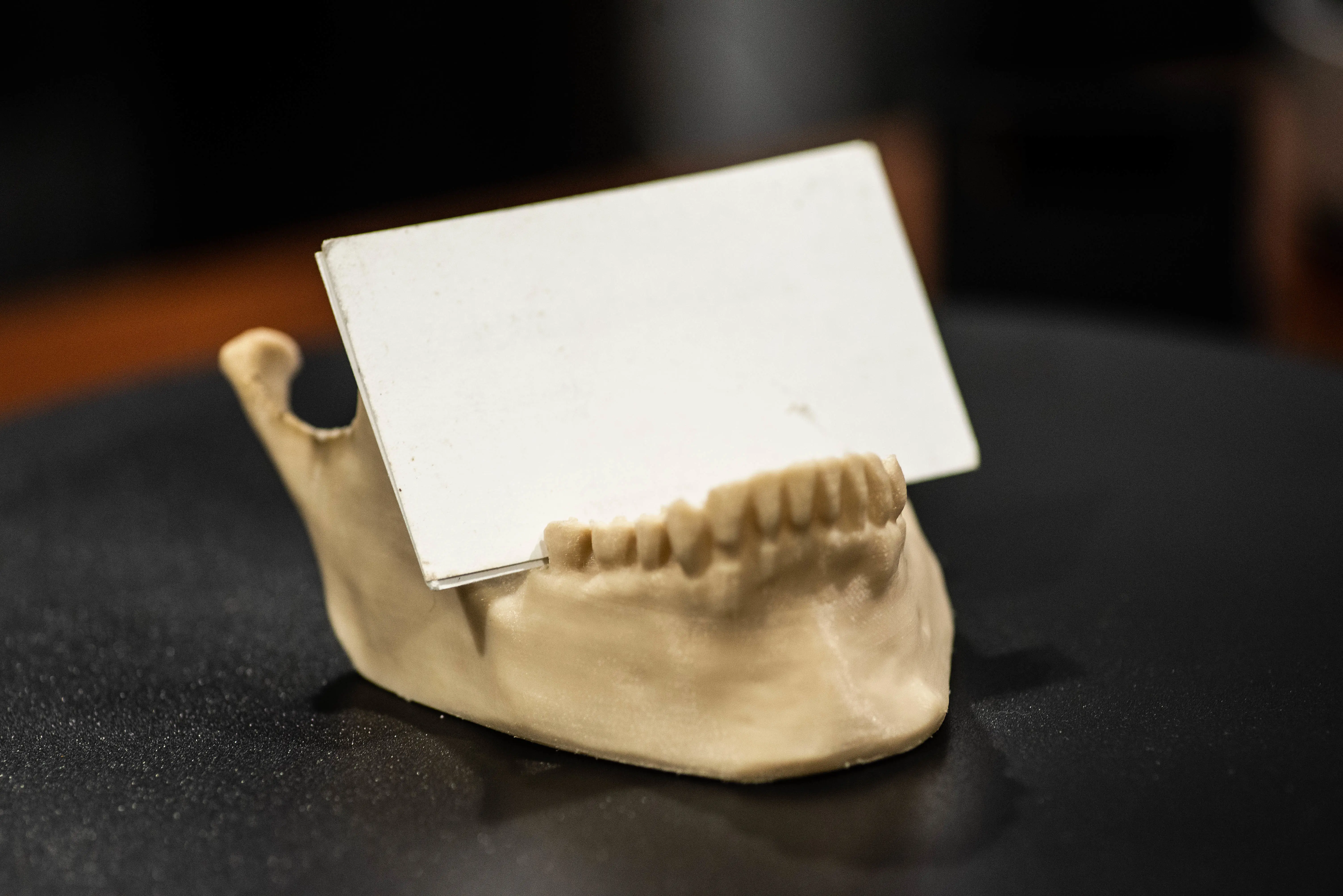 Jaw Bone Business Card Holder
