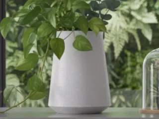 Vaso Fluid