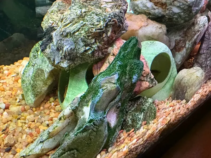 Aquarium-Fischhöhle