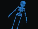 articulated skelly with hole-0