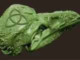 Ornamental Deluxe Bird Skull-5