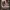 Fox Mask Silent Hill 3d digital download