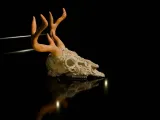 Ornamental Deer Skull-7