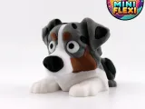 Mini Flexi Australian Shepherd - No Support-1