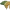 Il cappello dell'eroe