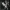 Temper - Great Wepon Fighter- December 2022 - Hunting Party-