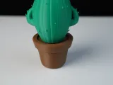 Psyduck Cactus-4