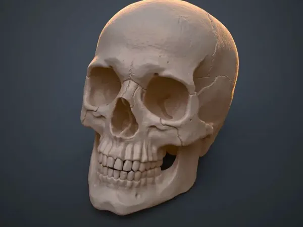 Skull 2