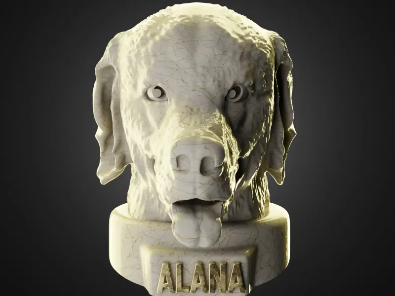 Golden Retriever