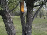 Solar light mount V2-2