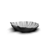 A different seashell-6
