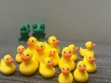 Patitos  multicolor -0