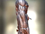 Super Saiyan-1