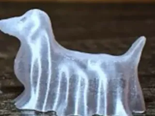 wiener dog ghost