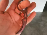 Kerambit spin-3