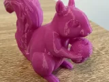 Squirrel-1