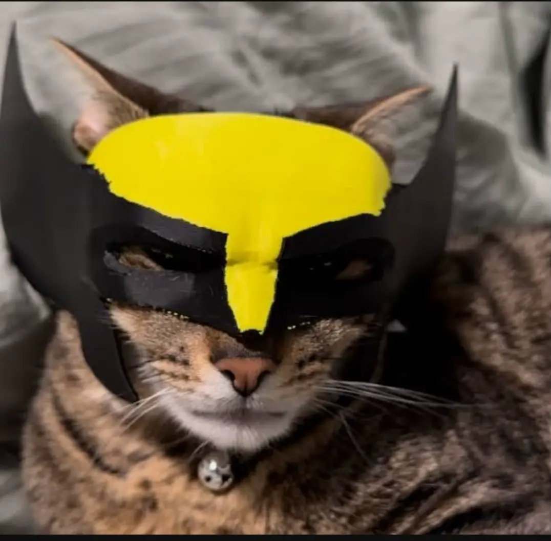 Wolverine cat mask