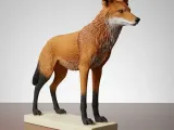Lobo Guara-0