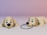 Golden Retriever Mini Flexi (3MF)-1