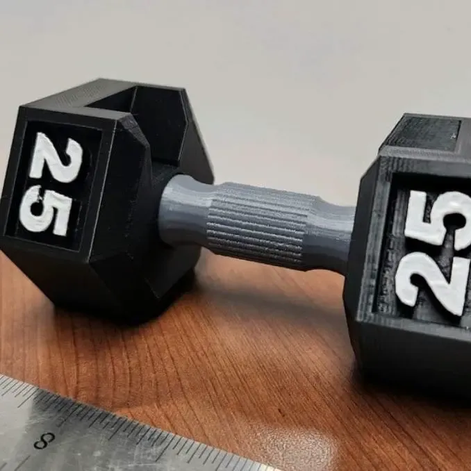 Dumbbell kaarthouder 2.0